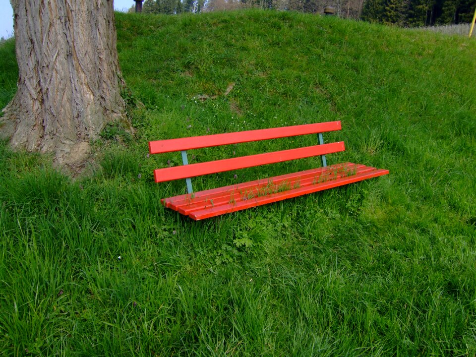 Bench rest nature