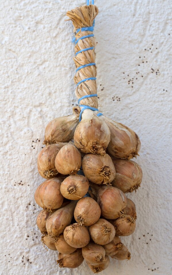 Vegetables allium cepa cook