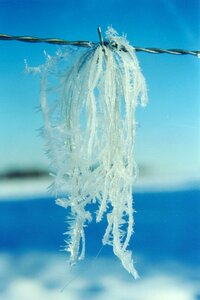 Frozen hardest ice crystal