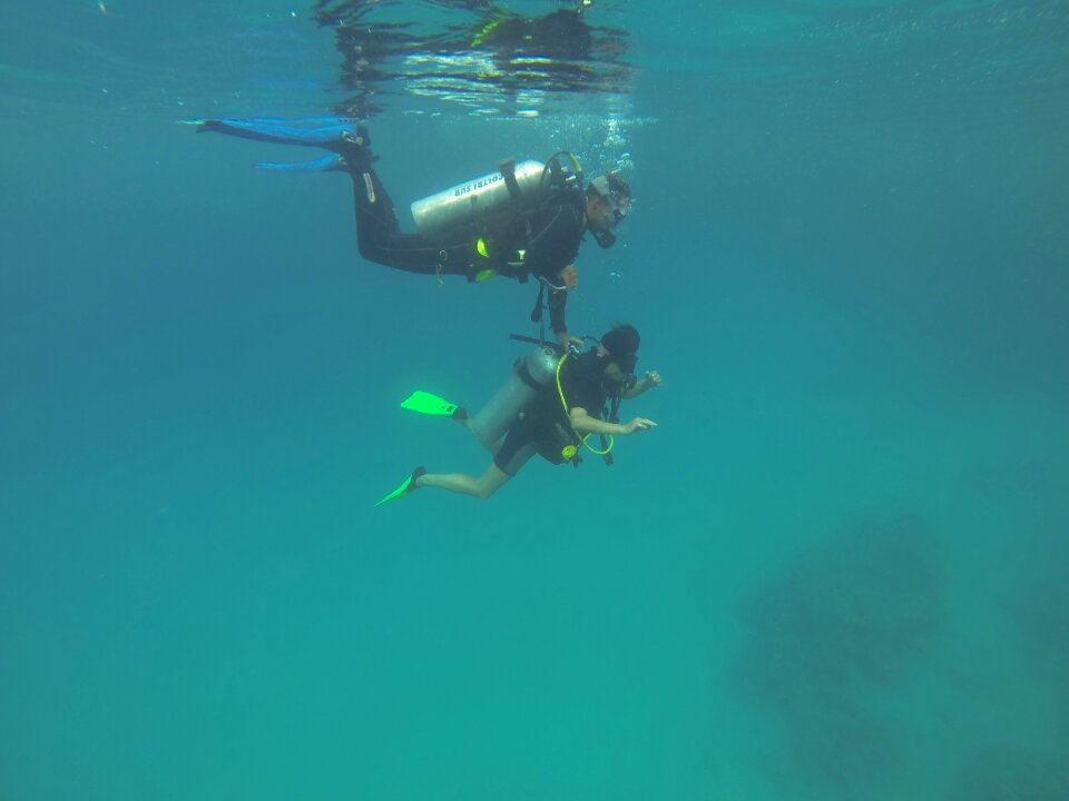 Immersion diving course marsalam