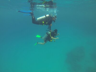 Immersion diving course marsalam