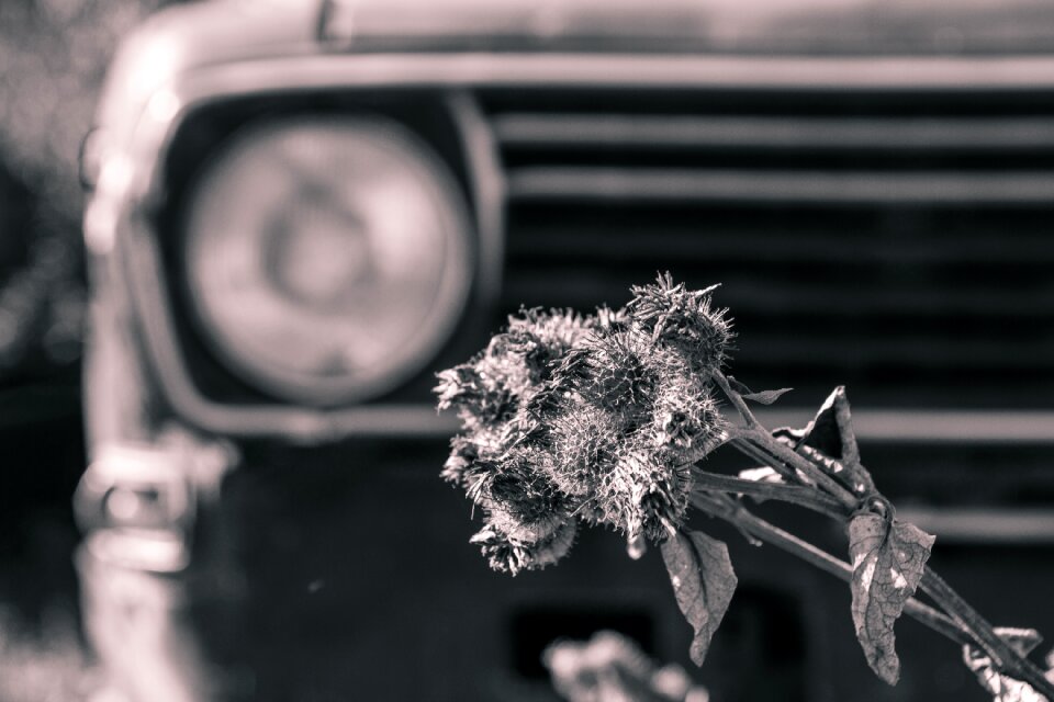 Black and white auto car