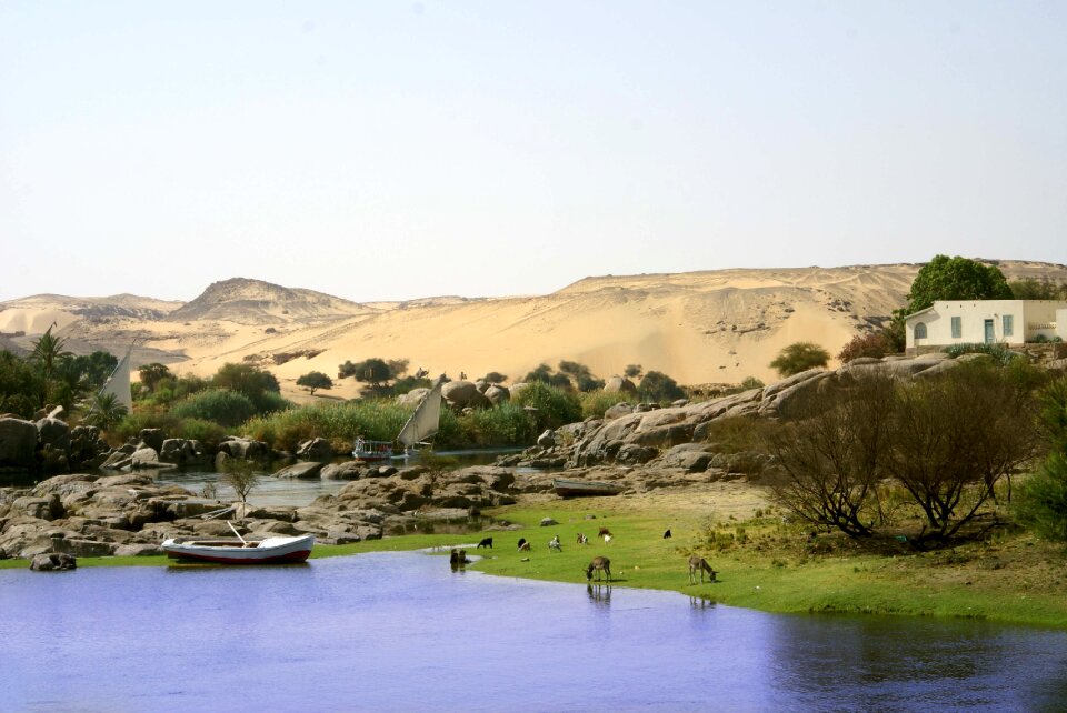 Aswan desert landscape