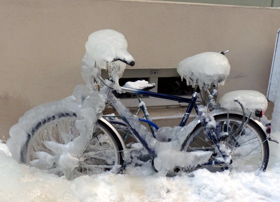 Winter iced stralsund