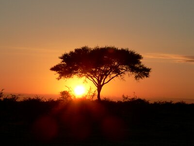Steppe evening abendstimmung
