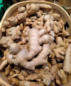 Root ginger spice photo