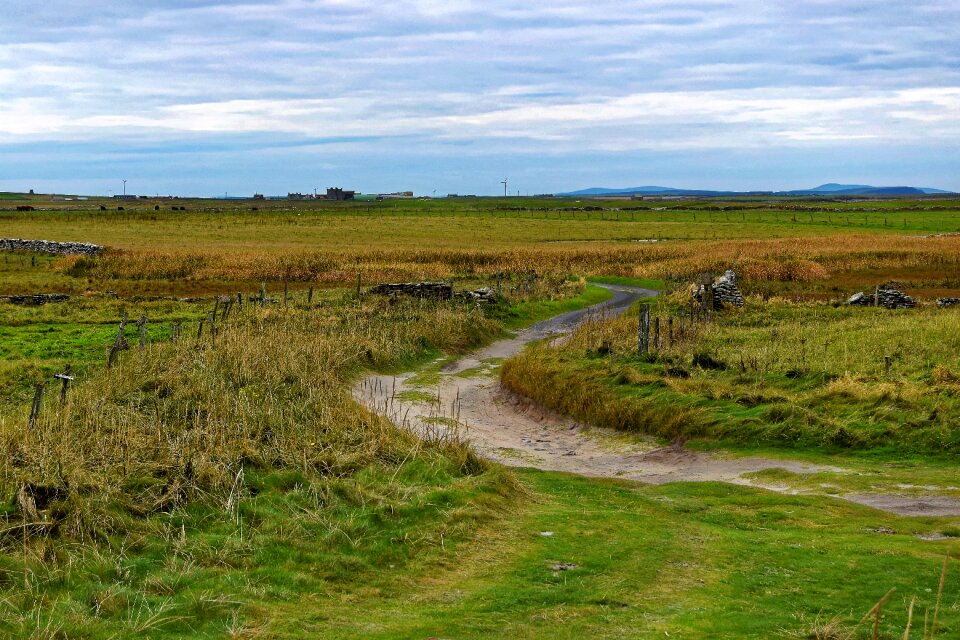 Nature field landscape photo