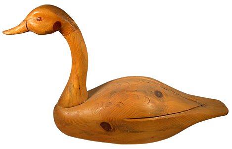 Wood bird nature
