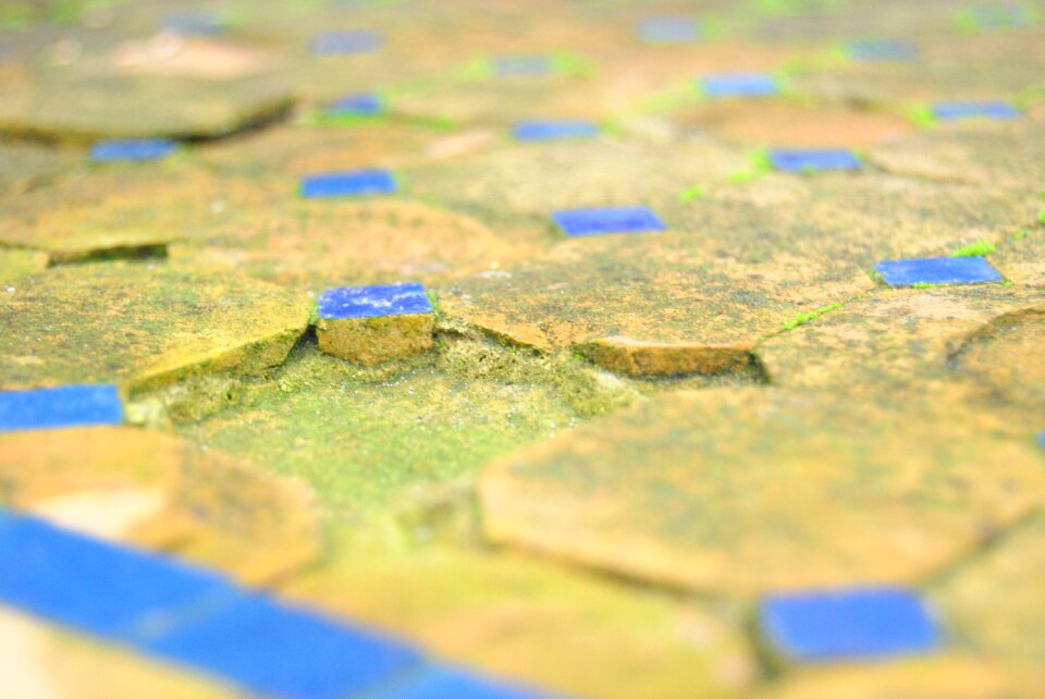 Transience vintage macro