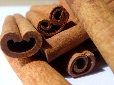Cinnamon spices bark