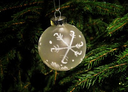 Depend christmas ornaments christmas ornament