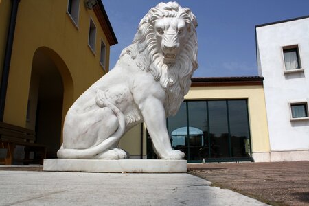 San leone lion statue