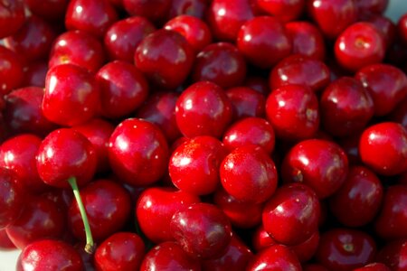 Cherry berry tasty photo