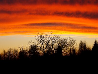 Sunset orange sky trees photo