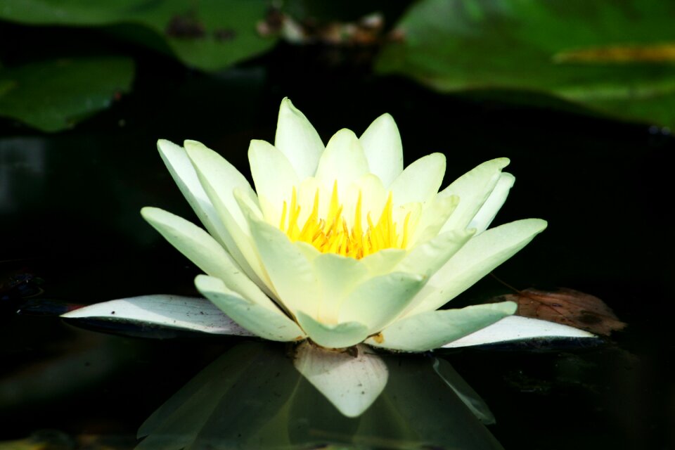 Nature water romanticism