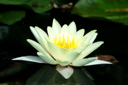 Nature water romanticism