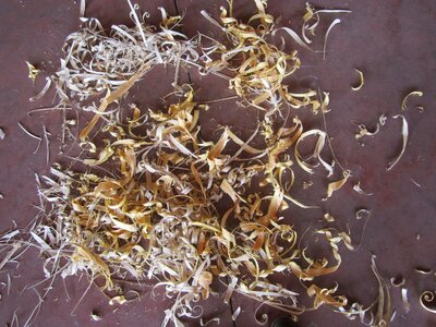 Textures wood cuttings