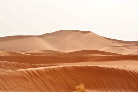 Landscape desert sand