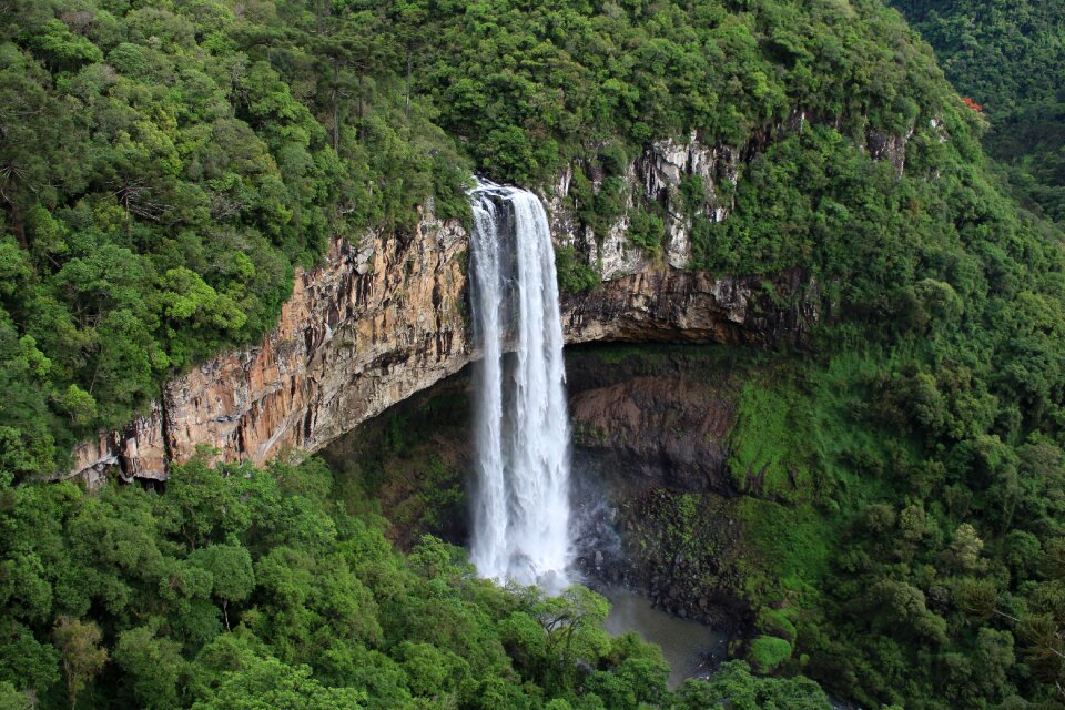 Nature cascade forest