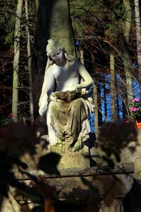 Woman sit forest