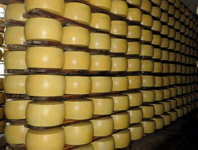 Cheese stock power