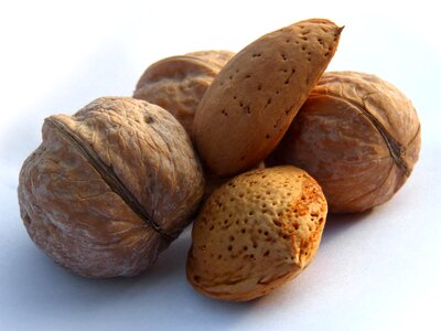 Dried fruits nuts almonds photo