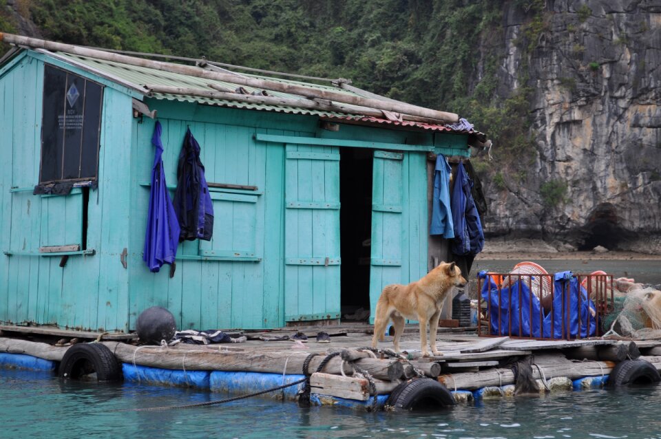 Floating village halong bay water