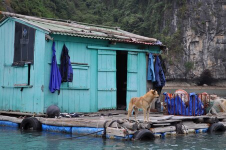 Floating village halong bay water