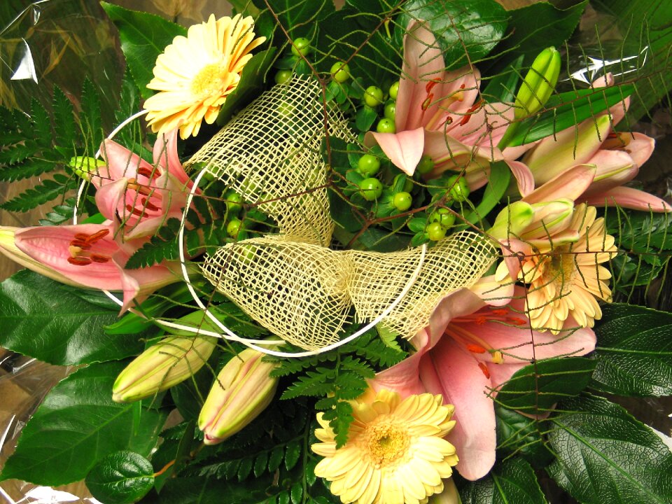 Give pleasure flowers celebration