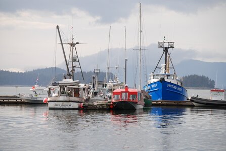 Boats harbour