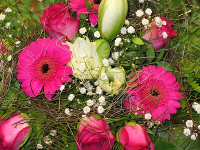 Give pleasure flowers celebration photo