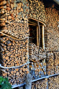 Holzstapel growing stock storage photo