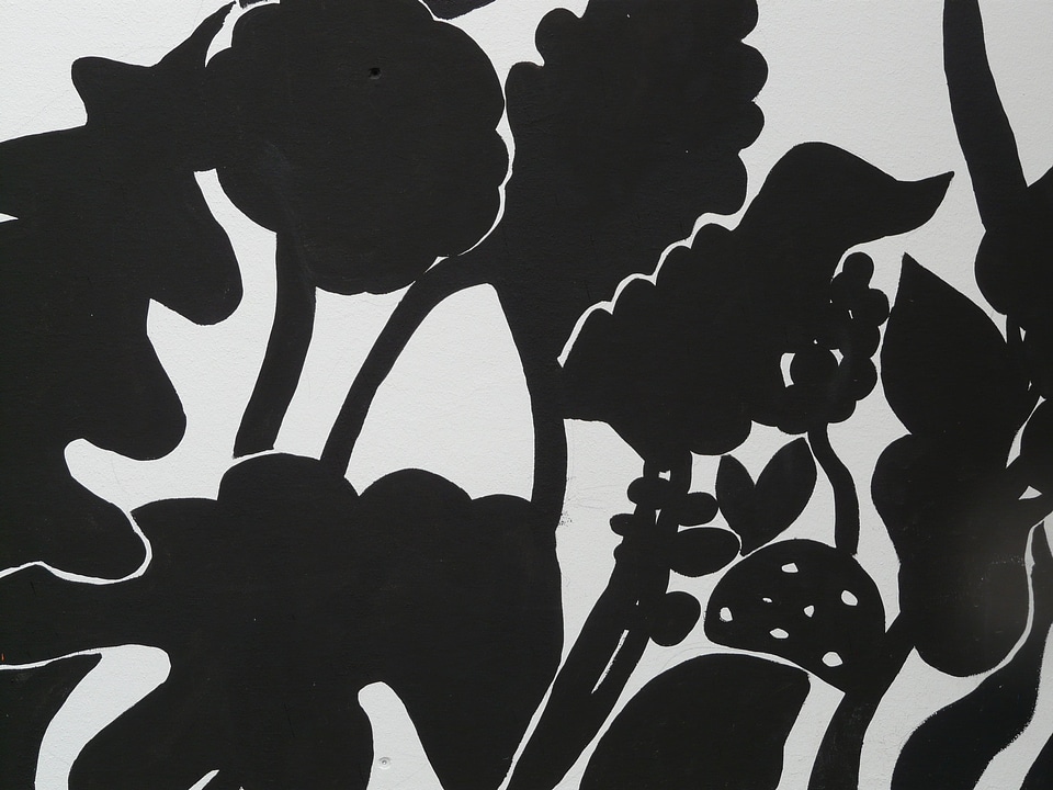 Mural black and white abstract