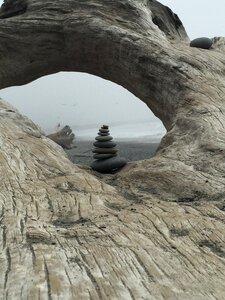Beach coast foggy