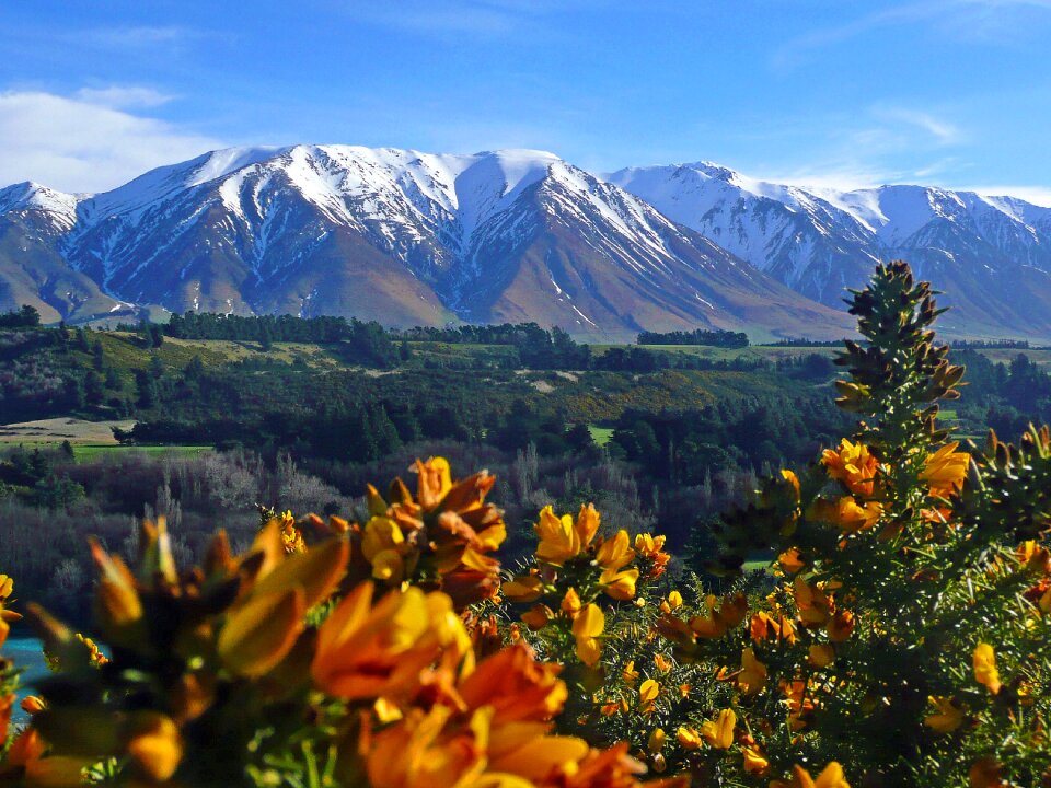 Yellow landscape nature