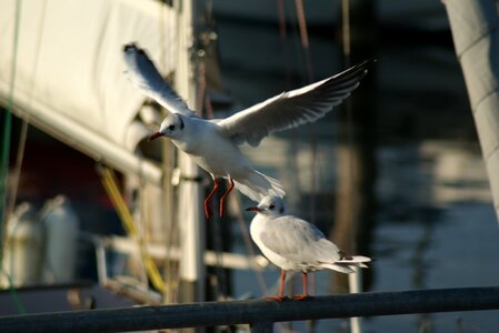 Baltic sea germany shipping