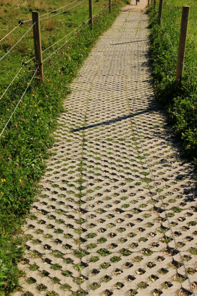 Pattern structure paved photo