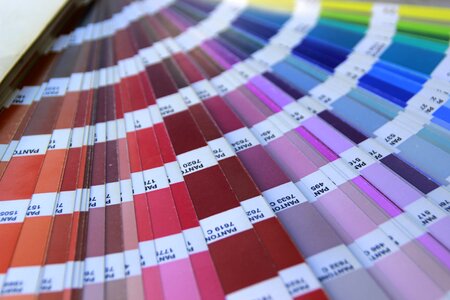 Pantone nuance swatches