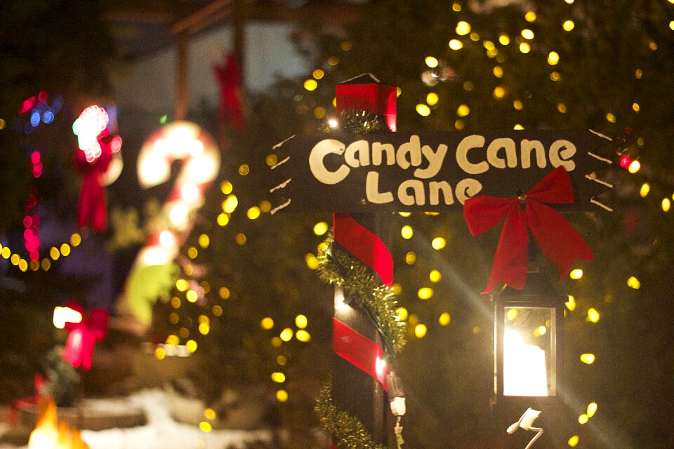 Cane decoration lights