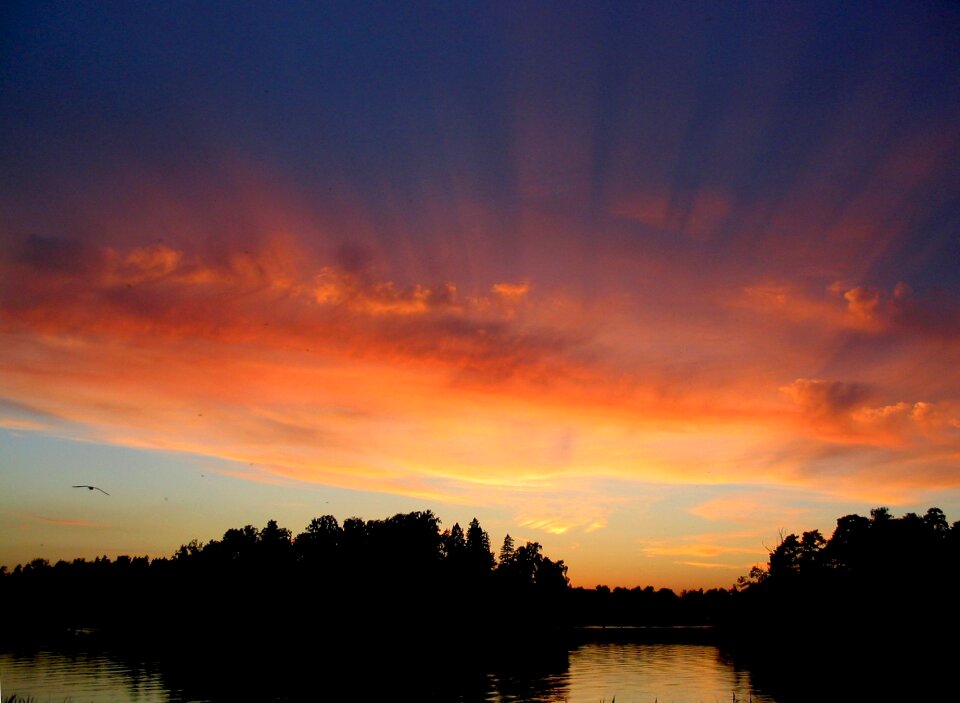 Mood water nightfall