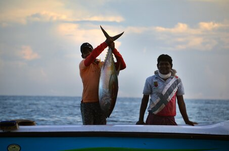 Boat tuna fish photo