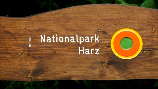 Harz mountains rest wood