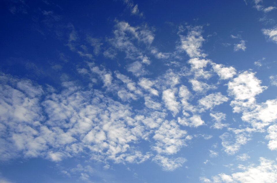 Brazil blue nature