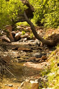 Utah desert hike photo