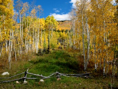 Crested butte autumn