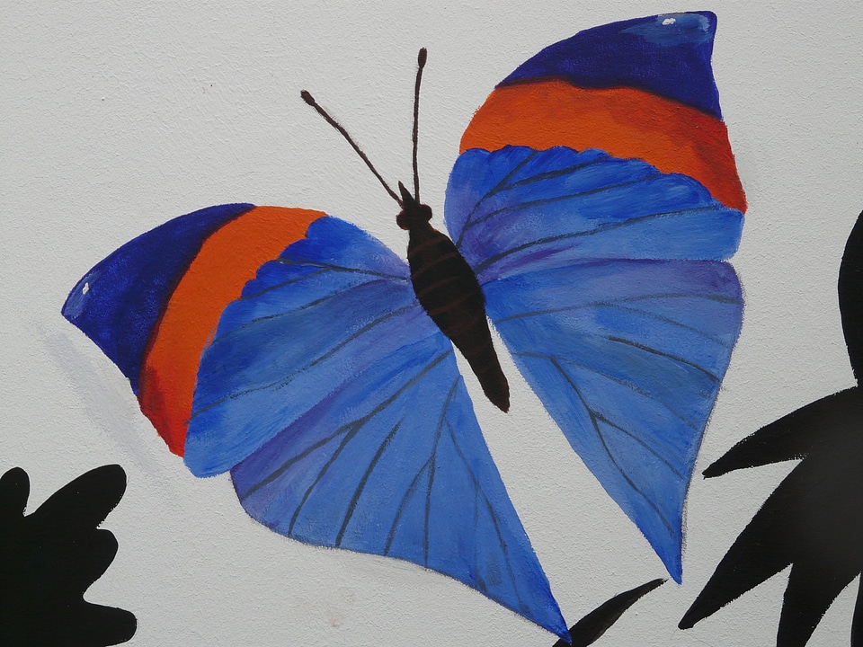 Painting mural drawing