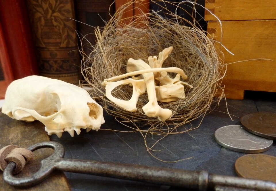 Key brown skull brown key