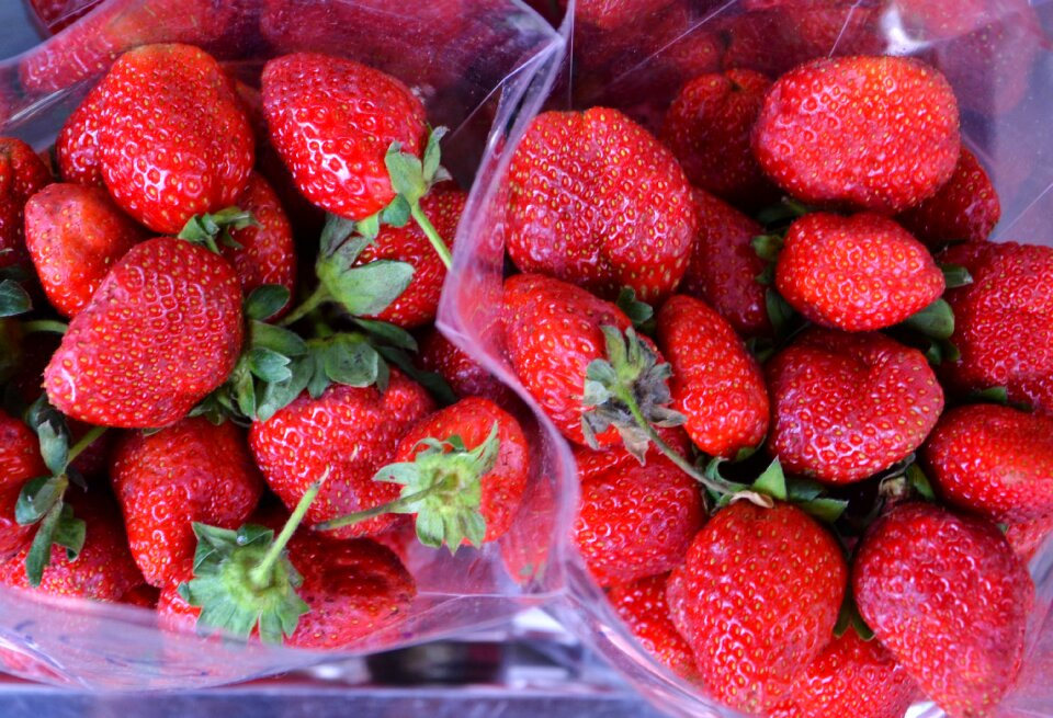 Fruit food fresh
