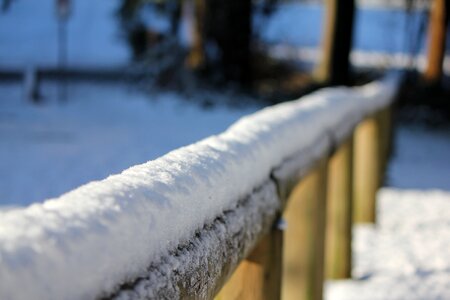 Cold white season