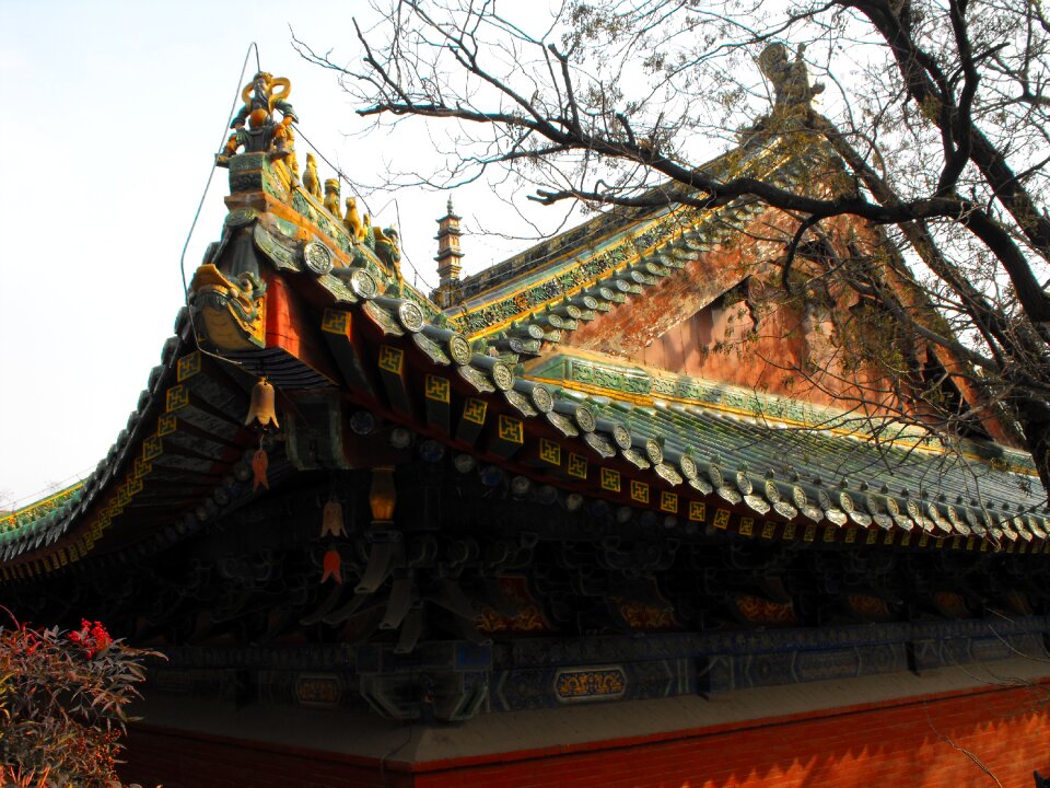 Ancient history roof